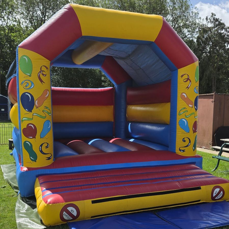 Adult Colourful Castle